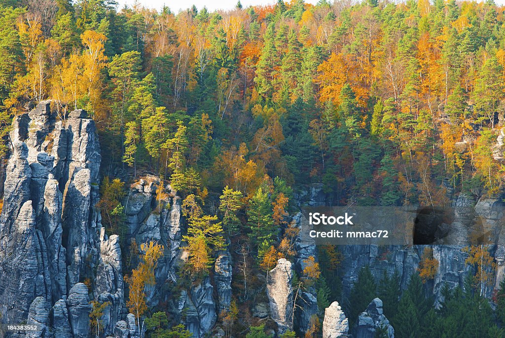 Saxon switzerland "Sachen-Schweiz NationalPark, Germany" Beauty In Nature Stock Photo