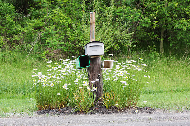istock Rural Roadside Mailbox Daisy Flower Garden 184383975
