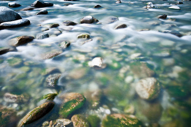 камни в четких и транспарентных горнолыжный река - moss stream rock water стоковые фото и изображения