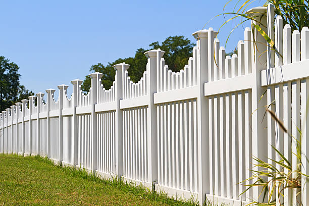 istock White vinyl yard fence with green grass 184384979
