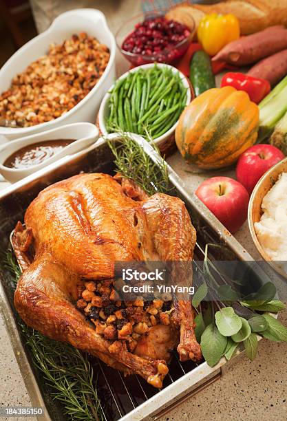 Thanksgiving Roast Turkey Dinner With Stuffing Cranberries Potato And Vegetables Stock Photo - Download Image Now