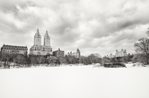 Central Park New York City looks bleak and beautiful under a blanket of snow