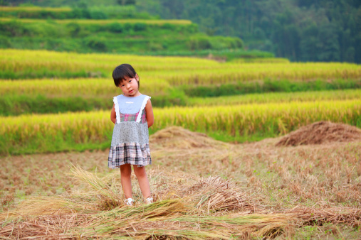 chinese Girl in rice fields
