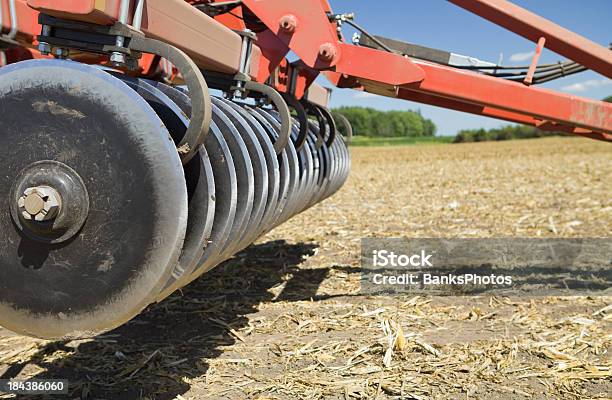 Arado De Probar Campo De Maíz En Otoño Tillage Listo Para Foto de stock y más banco de imágenes de Arar