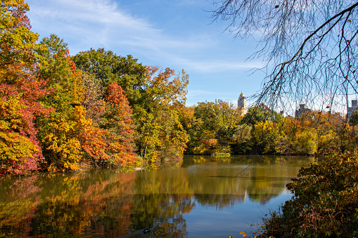 River during fall in Central Park