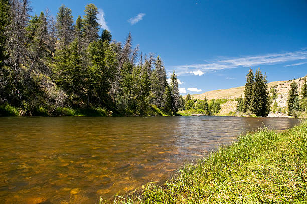 istock Colorado River in the Rocky Mountains 184386566