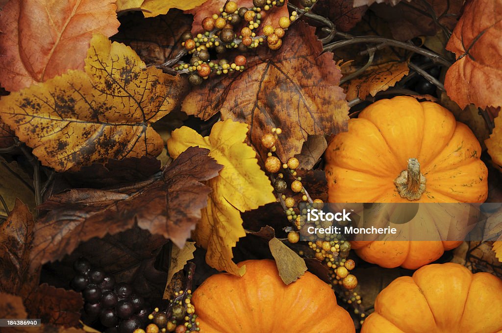 Érable et de potirons - Photo de Automne libre de droits