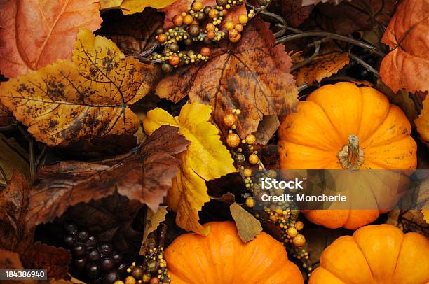 Photo libre de droit de Érable Et De Potirons banque d'images et plus d'images libres de droit de Automne - Automne, Blanc, Bordure