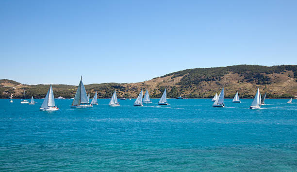 istock Yachts sailing in regatta blue sea and sky 184387300