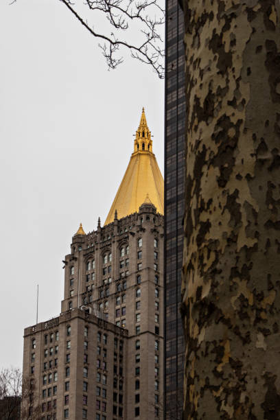 istock Office Building in Downtown New York City 1843873123