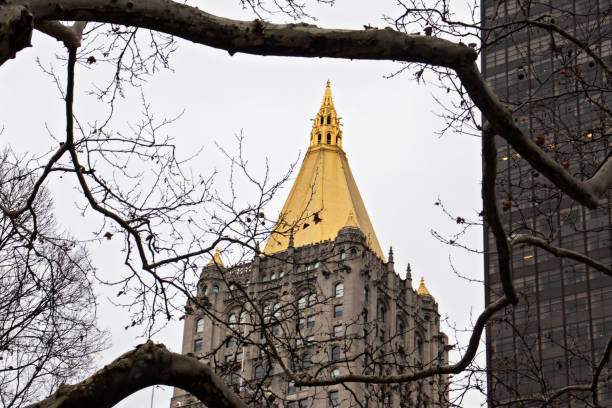 istock Building and Branches in New York City 1843873131