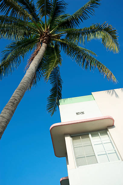 istock Art Deco Building Miami Beach Blue Sky Palm Tree 184387594