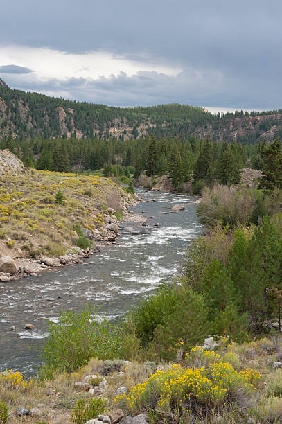 istock Rabbitbrush, River and Stormy Mountain Sky 184387762
