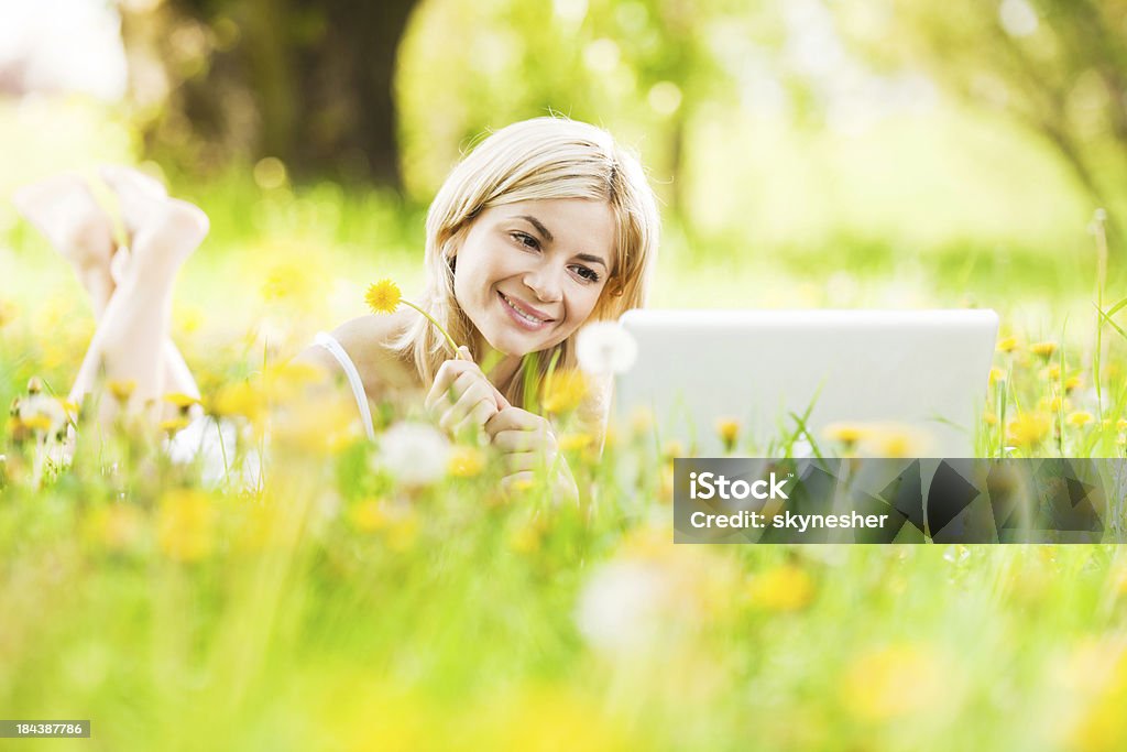 Lächelnde Frau liegen und mit Ihrem laptop in der Natur. - Lizenzfrei Arbeiten Stock-Foto