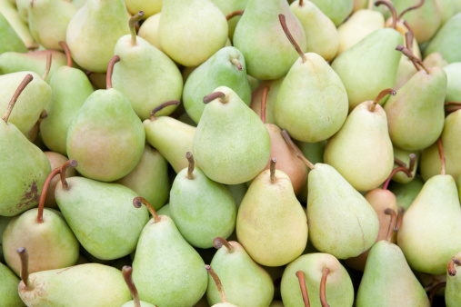Pears in a basket, freshly gather