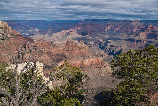 istock Grand Canyon from Yavapai Point at Dawn 184387921