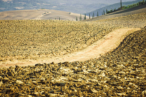 ciclista country road em um campo lavrado, val d'orcia, toscana - tuscany abandoned - fotografias e filmes do acervo