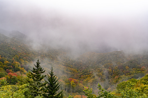 morning view of autumn mountain covered with fog