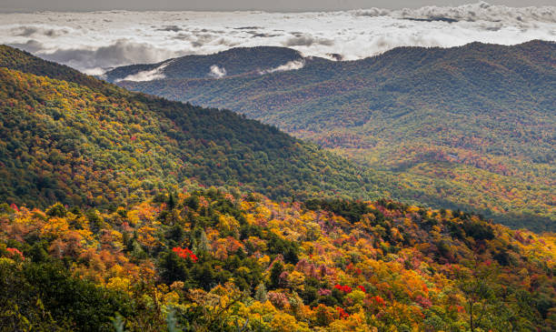 istock autumn landscape in the mountains 1843886145