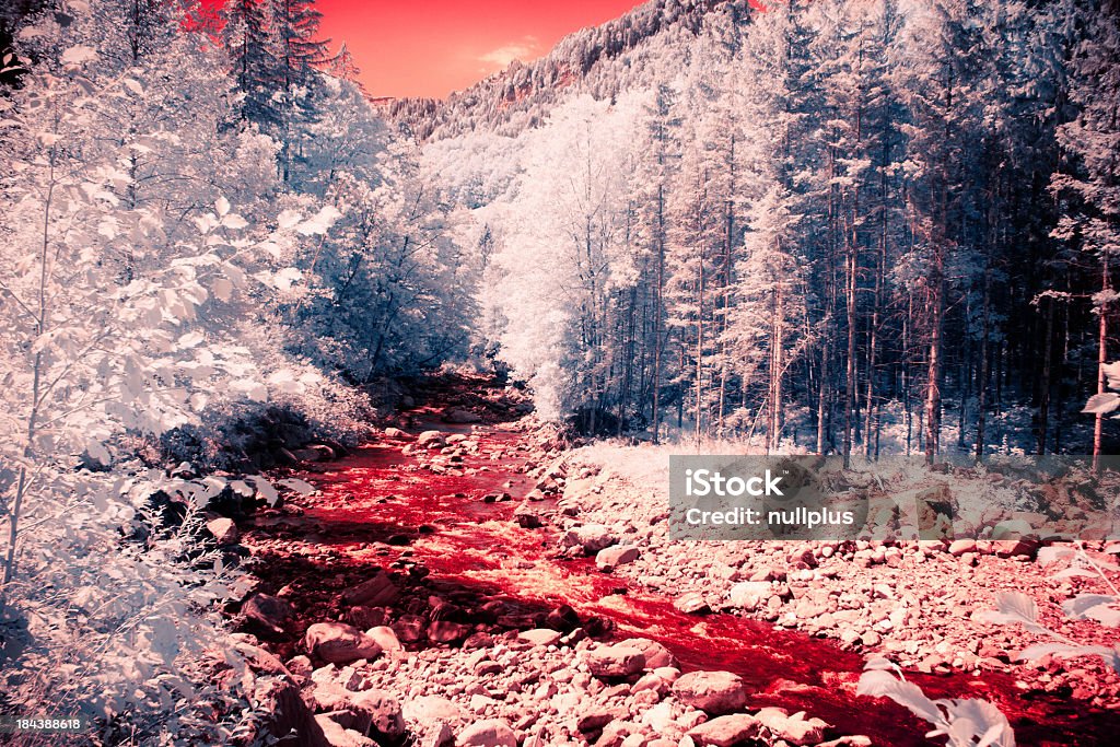 infrared la rivière - Photo de Fleuve et rivière libre de droits