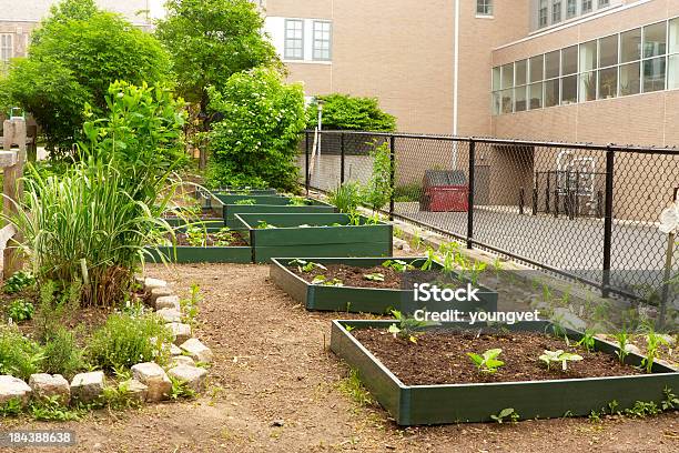 Giardino Di Scuola - Fotografie stock e altre immagini di Orto - Orto, Edificio scolastico, Educazione