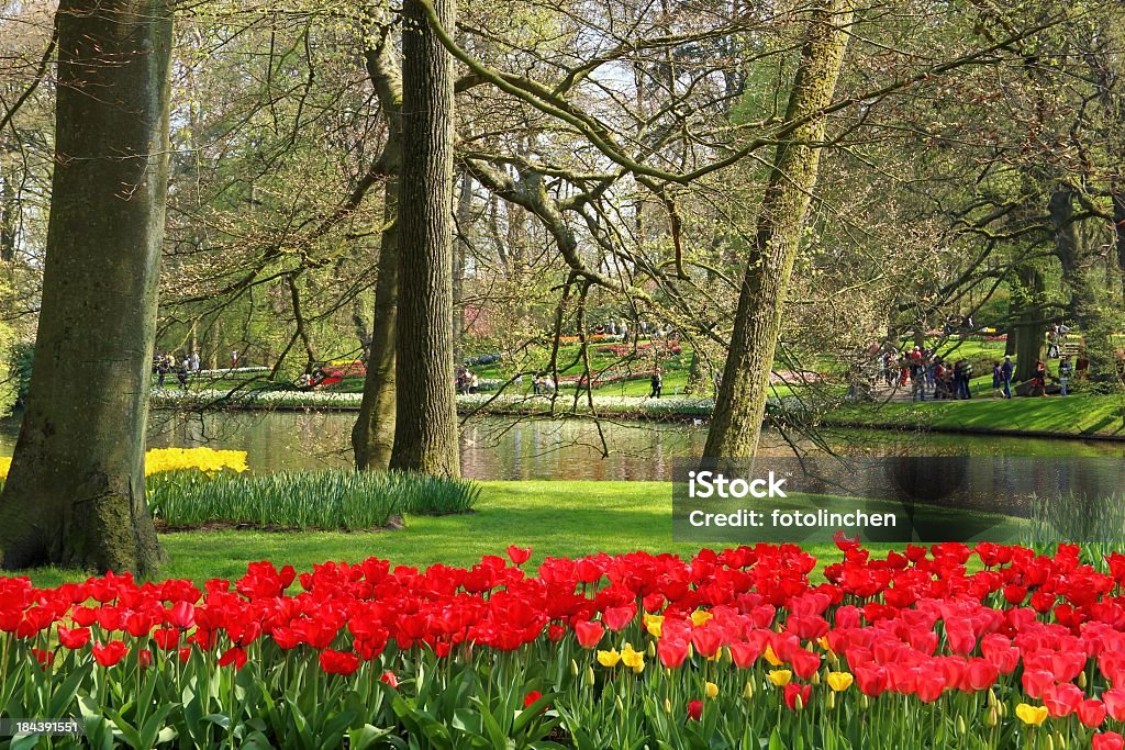 Frühling in Keukenhof-Gärten - Lizenzfrei April Stock-Foto