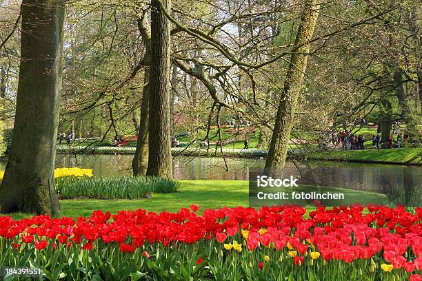 Frühling In Keukenhofgärten Stockfoto und mehr Bilder von April - April, Blume, Blume aus gemäßigter Klimazone