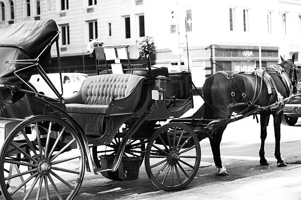 istock Horse Carriage in Manhattan 184391895