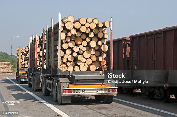 El Transporte De La Madera Molino De Sierra Foto de stock y más banco de imágenes de Baranda - Baranda, Camión de peso pesado, Cargar