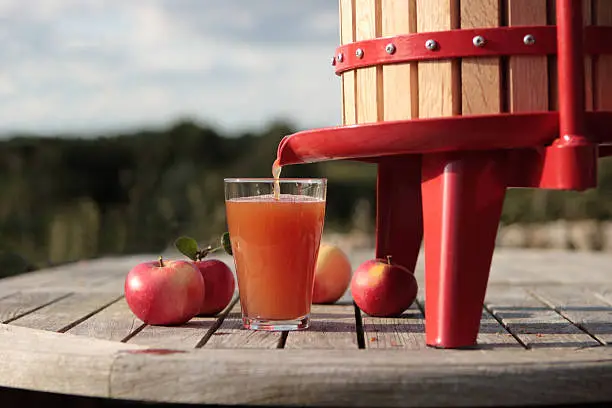 Making fresh apple juice on a warm Autumn day.