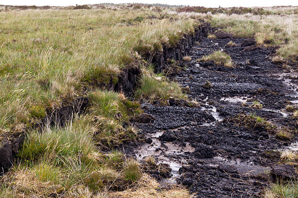peatland turf moor in Ireland. bog stock pictures, royalty-free photos & images