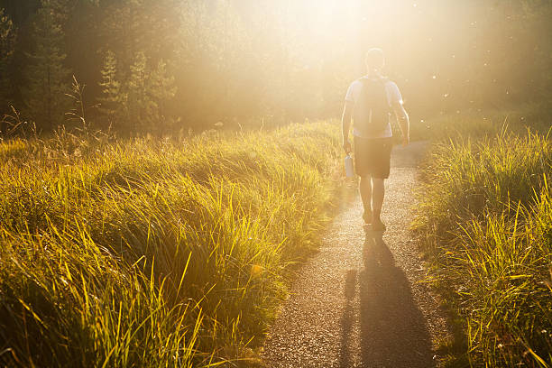 A man hiking on a footpath through a wetland into the setting sun in Mt. Hood National Forest while surrounded by mayflies.