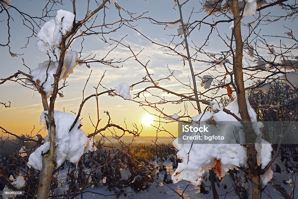 Warmer Winter Sun - Lizenzfrei Abenddämmerung Stock-Foto