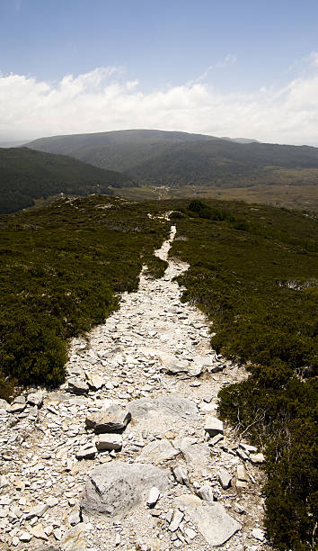 The Overland Track A portion of the famous Overland Track in Cradle Mountain-Lake Saint Clair National Park in northern Tasmania.  This portion of the walking trail is located near picturesque Crater Lake. horizon over land stock pictures, royalty-free photos & images