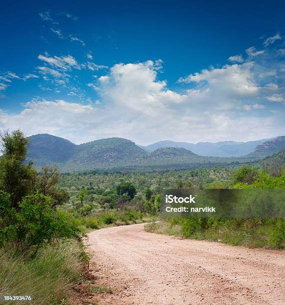 Krüger Nationalpark Stockfoto und mehr Bilder von Afrika - Afrika, Australisches Buschland, Fotografie