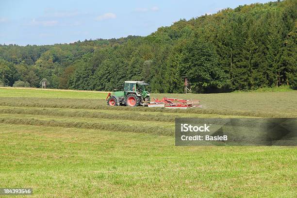 Arbeit Im Feld Tracy Byrdsinger Stockfoto und mehr Bilder von Agrarland - Agrarland, Baden-Württemberg, Deutschland