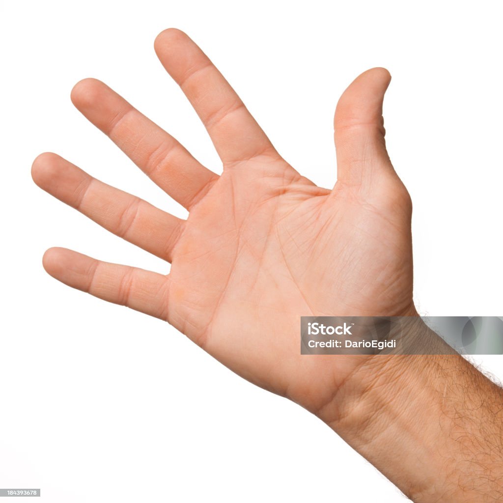 Palmo della mano aperto di un maschio mano su sfondo bianco - Foto stock royalty-free di Adulto