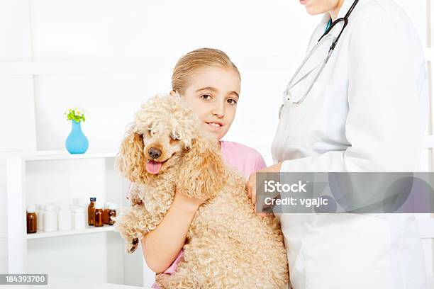 Bisschen Süßes Mädchen Mit Ihrem Haustier An Der Tierarzt Pudel Hund Stockfoto und mehr Bilder von 30-34 Jahre