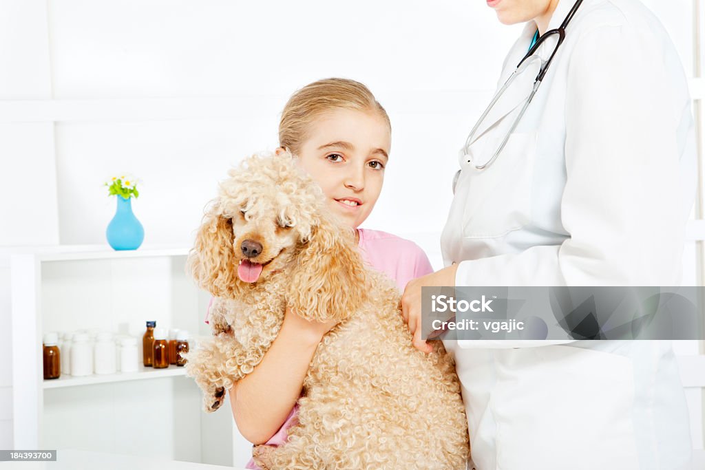 Petite jolie fille avec son animal de compagnie chien Caniche de vétérinaire - Photo de 30-34 ans libre de droits