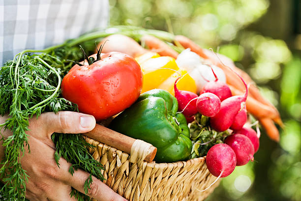 istock Basket With Organic Vegetables Fresh From Market 184394023