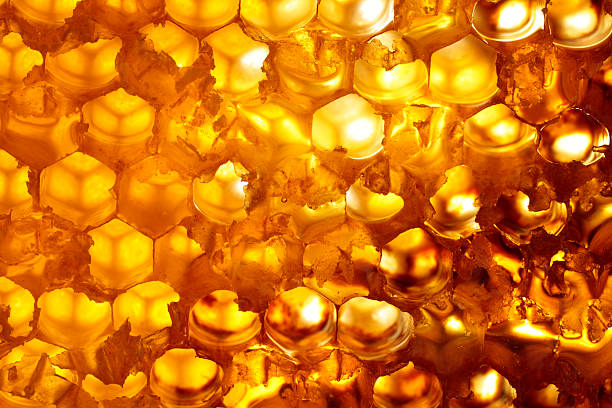 honeycomb "Honeycomb, back lit. Please see some similar pictures from my portfolio:" honey crisp stock pictures, royalty-free photos & images