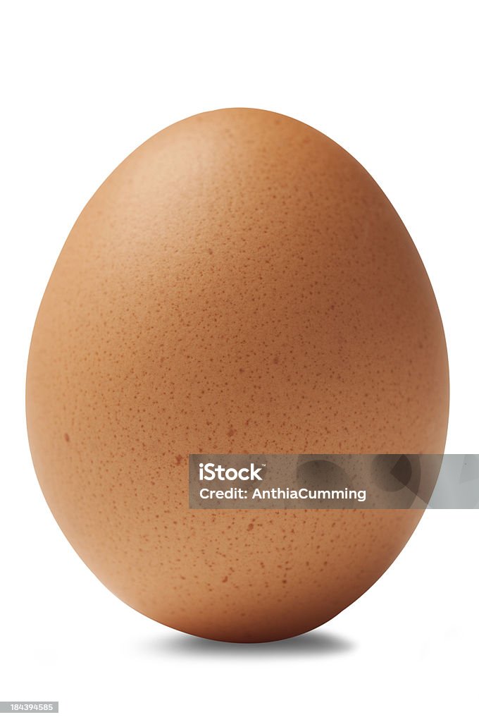 Marrom único Ovo de galinha isolado no fundo branco - Foto de stock de Ovo de animal royalty-free