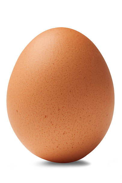 único ovo de galinha marrom isolado em fundo branco - eggs imagens e fotografias de stock