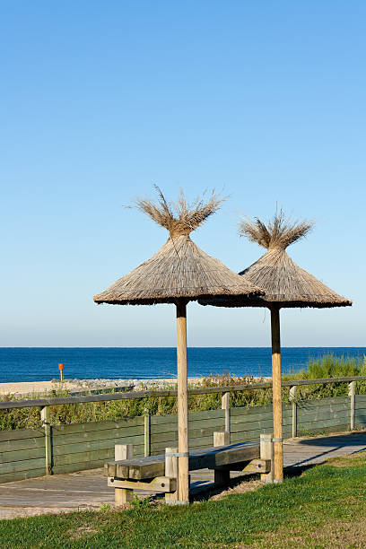 istock Silver Coast - Beach of Mimizan Beach 184395074
