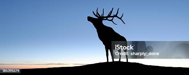 Xl Elk Silhouette Stock Photo - Download Image Now - Deer, Elk, In Silhouette