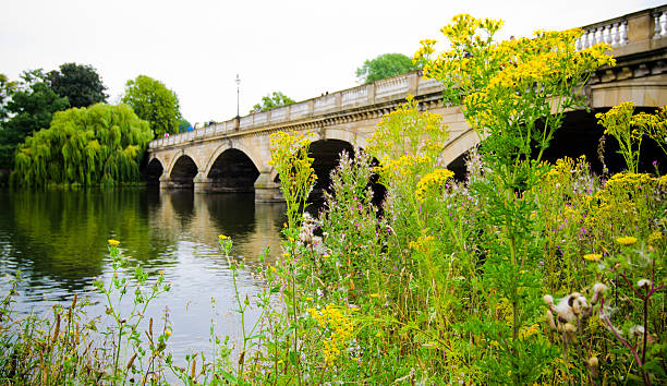 istock Serpentine Bridge at Hyde Park in London, England 184395949