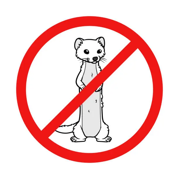 Vector illustration of No White Mongoose on White Background