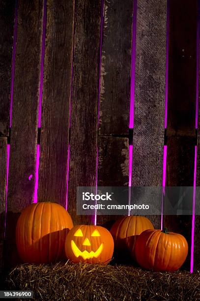 Halloween Jack Olantern - Fotografie stock e altre immagini di Halloween - Halloween, Notte, Allegro