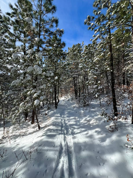 istock Cheyenne Mountain State Park winter trail 1843970045