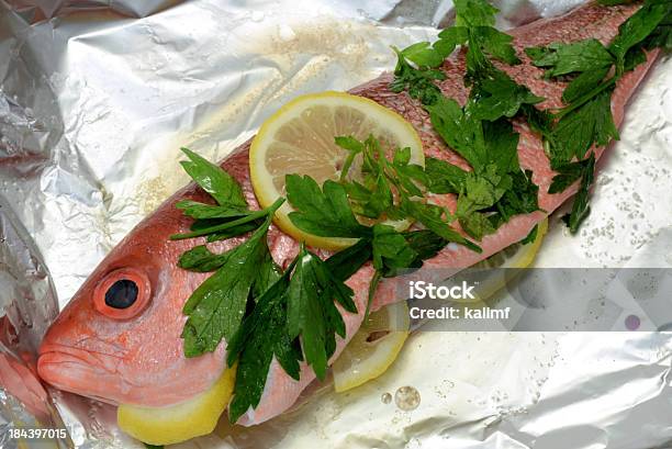 Foto de Red Snapper e mais fotos de stock de Alumínio - Alumínio, Limão amarelo, Lutjanídeo